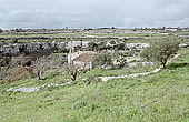 Sicily, the Iblei landscape 